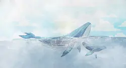 پوستر دیواری اتاق نوجوان نهنگ W10159000 - خرید با قیمت مناسب - والینو