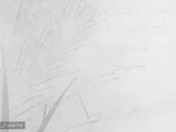 کاغذ دیواری طرح محو برگ W10157200 - خرید با قیمت مناسب - والینو