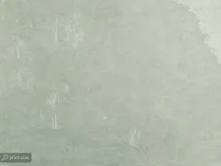 کاغذ دیواری طرح طبیعت جنگل W10172600 - خرید با قیمت مناسب - والینو