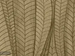 کاغذ دیواری کلاسیک طرح برگ W10167200 - خرید با قیمت مناسب - والینو