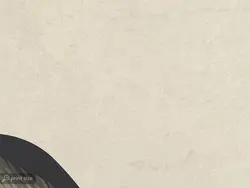 کاغذ دیواری طرح میمون و درخت W10187500 - خرید با قیمت مناسب - والینو