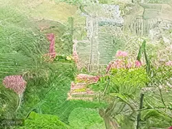 پوستر دیواری سه بعدی طبیعت W10179000 - خرید با قیمت مناسب - والینو