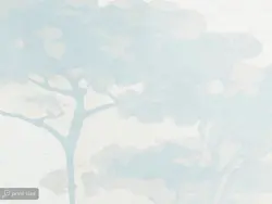 کاغذ دیواری طرح طاووس و درخت W10210100 - خرید با قیمت مناسب - والینو