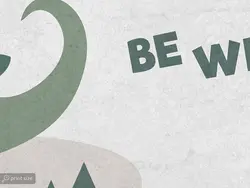 پوستر دیواری اتاق کودک دایناسور W10212100 - خرید با قیمت مناسب - والینو