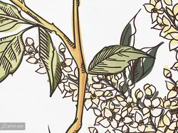 کاغذ دیواری طرح گل و برگ W10221100 - خرید با قیمت مناسب - والینو