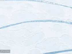 پوستر دیواری برگ نخل W10285000 - خرید با قیمت مناسب - والینو