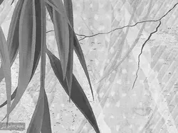 پوستر دیواری طرح برگ درخت W12010220 - خرید با بهترین قیمت - والینو