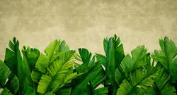 پوستر دیواری طرح برگ هاوایی W10044800 - خرید با بهترین قیمت - والینو