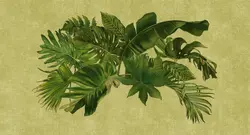 پوستر دیواری برگ هاوایی W10044500 - خرید با بهترین قیمت - والینو