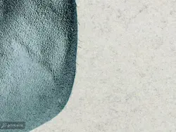 پوستر دیواری بدنسازی طرح بدنسازی W12017810 - خرید با بهترین قیمت - والینو