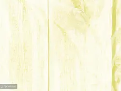 پوستر دیواری طرح برگ محو W12013600 - خرید با بهترین قیمت - والینو