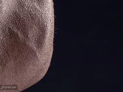 پوستر دیواری بدنسازی طرح بدنسازی W12017800 - خرید با بهترین قیمت - والینو