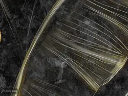 پوستر دیواری طرح برگ و گل w11010700 - خرید با بهترین قیمت - والینو