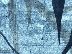 پوستر دیواری طرح برگ سوزنی w11010110 - خرید با بهترین قیمت - والینو