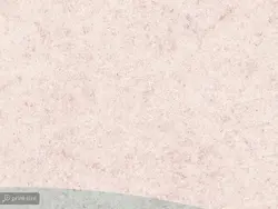 پوستر دیواری طرح برگ بزرگ با رنگ زمینه ی کرم W12110810 - خرید با بهترین قیمت - والینو