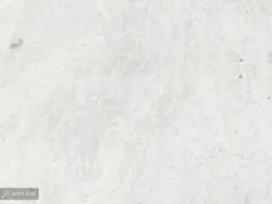 پوستر دیواری طرح برگ درخت W12012300 - خرید با بهترین قیمت - والینو