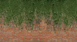 پوستر دیواری طرح دیوار آجری و برگ W12013200 - خرید با بهترین قیمت - والینو