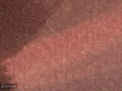 پوستر دیواری طرح پرنده آبرنگی W10052610 - خرید با بهترین قیمت - والینو