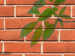 پوستر دیواری طرح ساختمان روی دیوار آجری W12013300 - خرید با بهترین قیمت - والینو