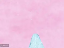 پوستر دیواری طرح ساختمان و ستاره W12010400 - خرید با بهترین قیمت - والینو