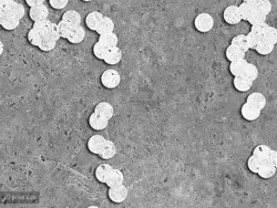 پوستر دیواری طرح سکان کشتی W10062100 - خرید با بهترین قیمت - والینو