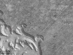 پوستر دیواری طرح گچبری هنری W12011130 - خرید با بهترین قیمت - والینو