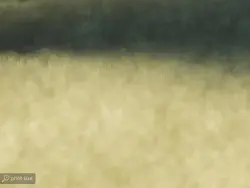 پوستر دیواری طرح هنری W10053400 - خرید با بهترین قیمت - والینو