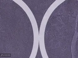 پوستر دیواری طرح هندسی W12112110 - خرید با بهترین قیمت - والینو