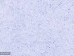 پوستر دیواری کافی شاپ طرح بال و کافه W12018310 - خرید با بهترین قیمت - والینو