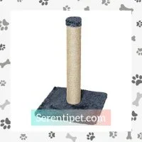 اسکرچر مدل کلاسیک 2