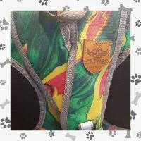 کوله پشتی حمل سگ و گربه ابعاد 24cm*30cm*40cm