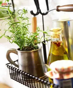 آویز استند دیواری آشپزخانه DELA 445 - فروشگاه اینترنتی 70کالا با تخفیفهای هیجان انگیز