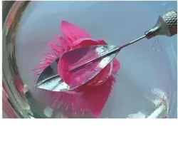 سرنگ و ابزار ژله تزریقی کد Z2213 - فروشگاه اینترنتی 70کالا با تخفیفهای هیجان انگیز