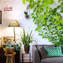 گیره پتوس قفل دار بسته 10 عددی کد T 10 - فروشگاه اینترنتی 70کالا با تخفیفهای هیجان انگیز