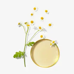 کرم پا نرم کننده روزانه فیت آپ (46375)