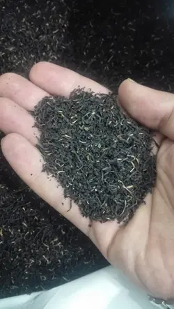 چای چکش سبز دو پنکه ۵۰۰گرمی - فروشگاه اینترنتی همراه ماركت چابهار