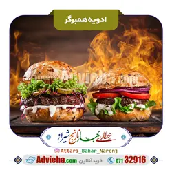 ادویه همبرگر | ادویه ها