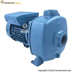 پمپ پنتاکس 2 اسب سانتریفیوژ دو پروانه مدل MB200/00