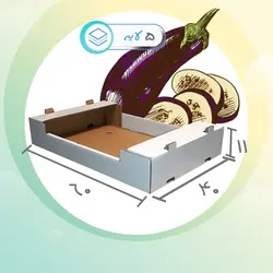 کارتن بادمجان لمینتی لامپی