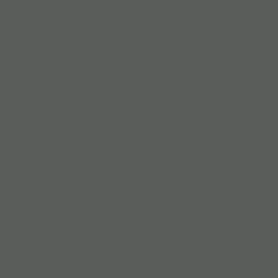فون کاغذی بکگراند خاکستری Savage Background Paper Seamless #27 Thunder Gray
