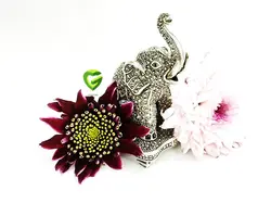 فیل هانگ کد 2189