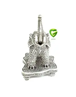 فیل هانگ کد 2189