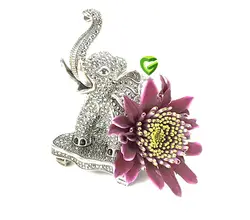 فیل هانگ کد 2189