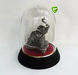 فیل هانگ کد 2189