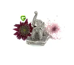 فیل هانگ کد 2189