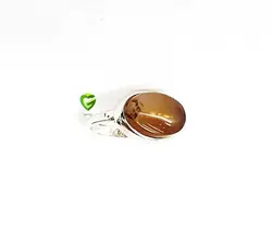 انگشترصفوی تیره خراسان کد2050