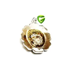 آویزنقره فیروزه جهان کد839