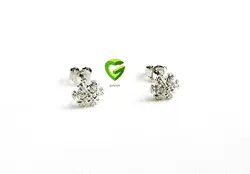 نیمست نقره برف کد655