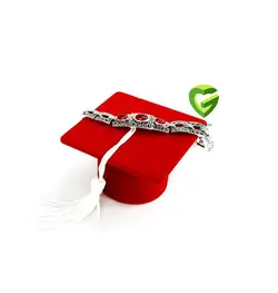 دستبندنقره قهوه ای 3کد228