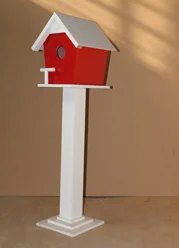 دکور اشیانه پرنده